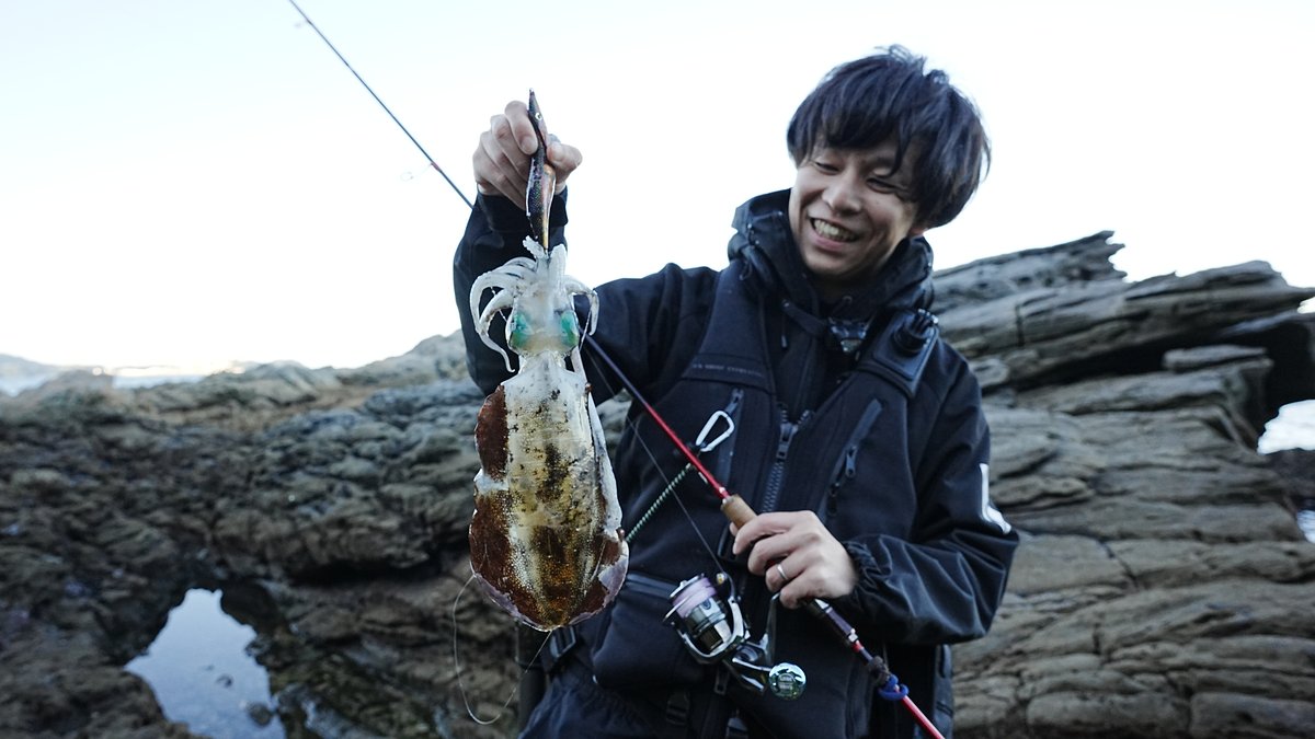 赤侍メテオグローパープルで釣れたアオリイカ