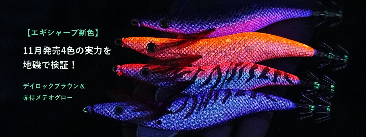 【エギシャープ新色】11月発売4色の実力を地磯で検証！