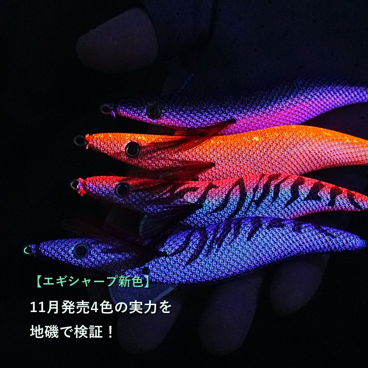 【エギシャープ新色】11月発売4色の実力を地磯で検証！