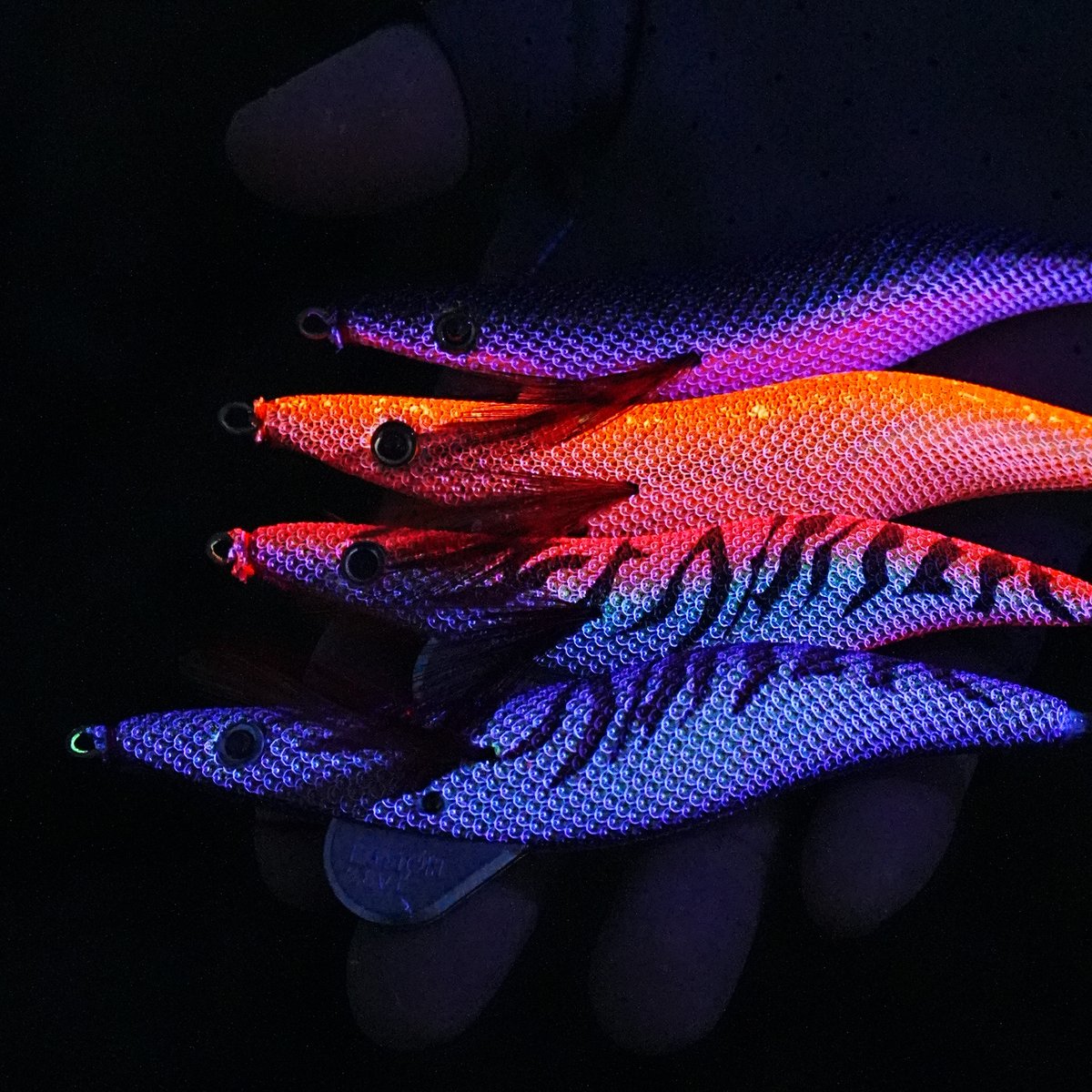 【エギシャープ新色】11月発売4色の実力を地磯で検証！