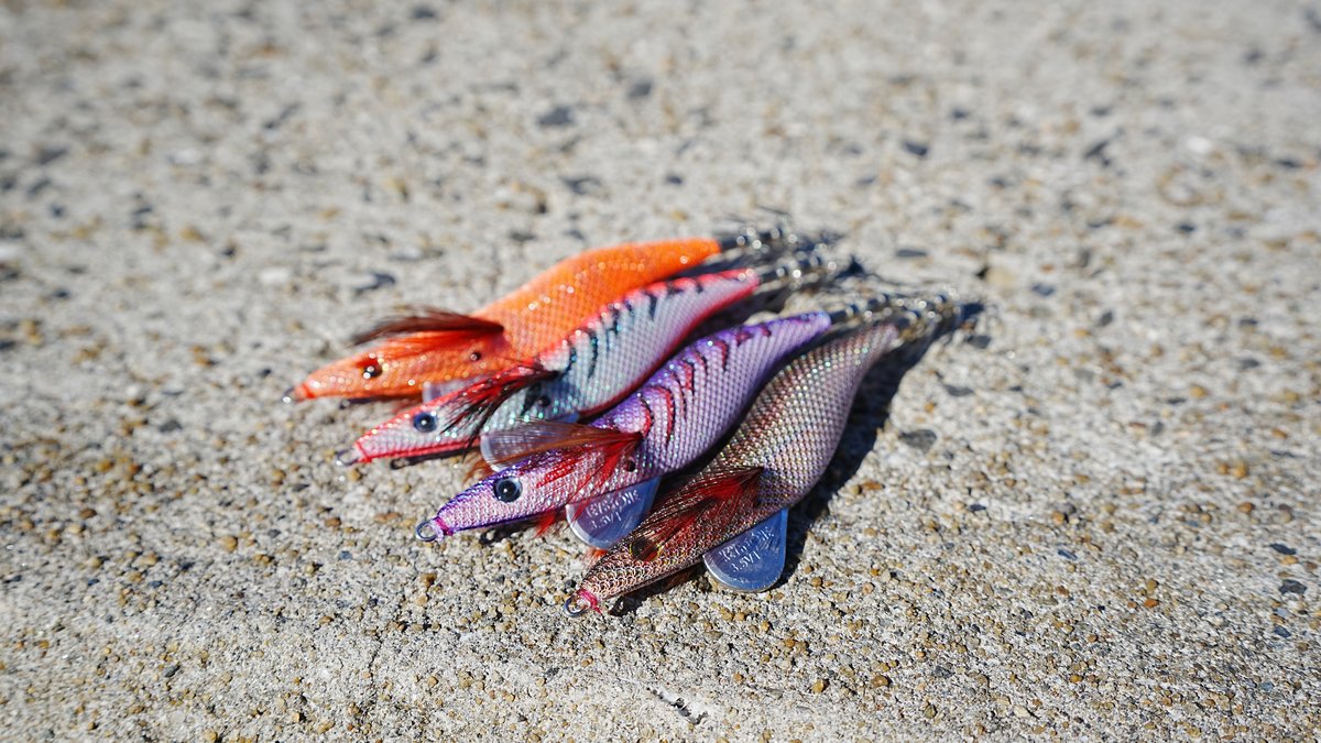 エギシャープタックルセット