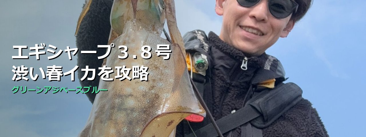 【3月下旬×渋い春イカ攻略】エギシャープ3.8号V1で漁港ボトムを制す