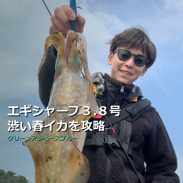 【3月下旬×渋い春イカ攻略】エギシャープ3.8号V1で漁港ボトムを制す