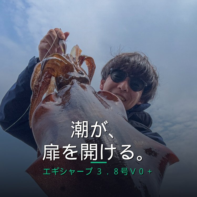 【潮の窓×デイロックブラウン】エギシャープ3.8号V0+で藻場のキロアップアオリを撃破