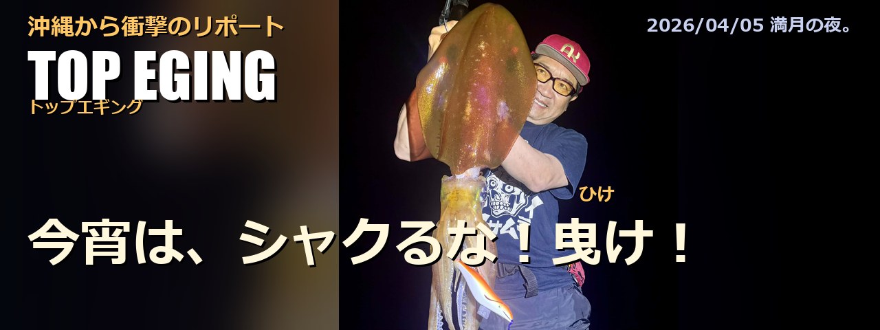 【トップエギング】沖縄から衝撃のリポート──今宵は、シャクるな！曳け！