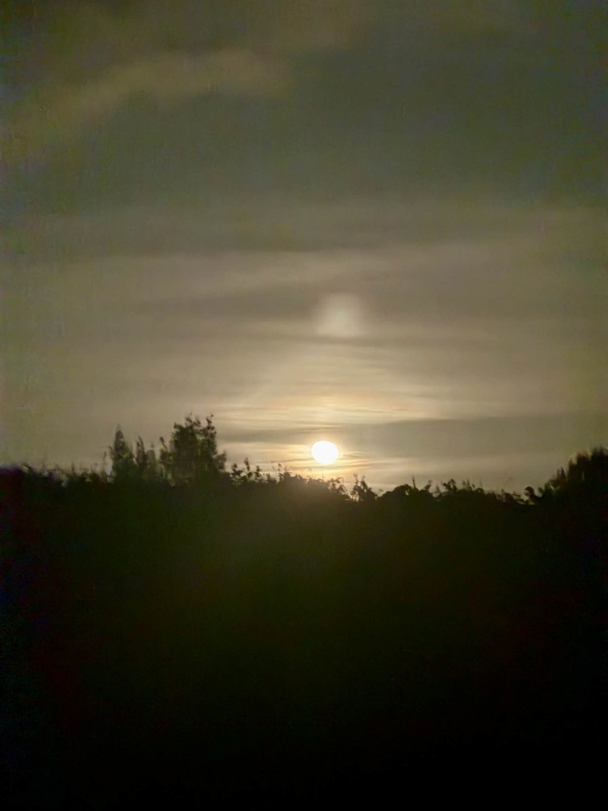 満月が北磯を照らす──曳き型トップエギングの舞台