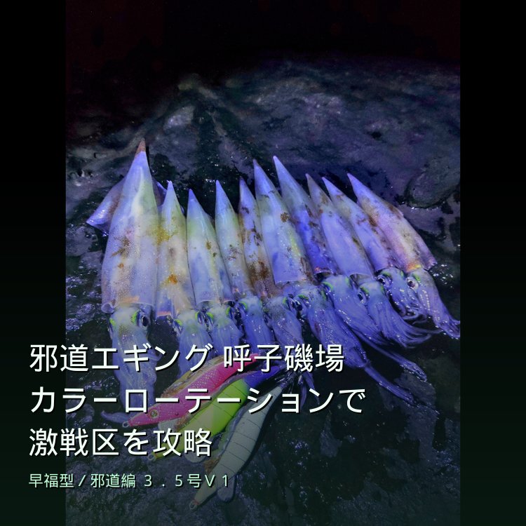 【邪道エギング×呼子磯場】3月ハイシーズン！カラーローテーションで激戦区を攻略