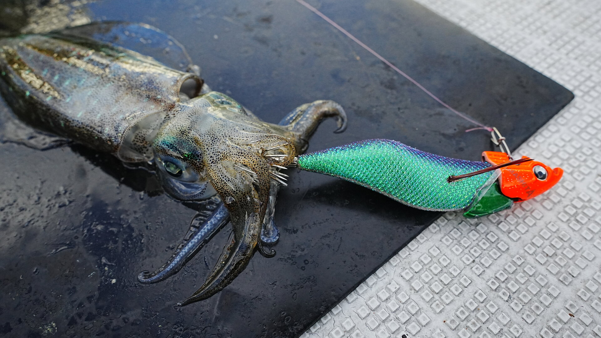 リーフトータスでのヒットシーン