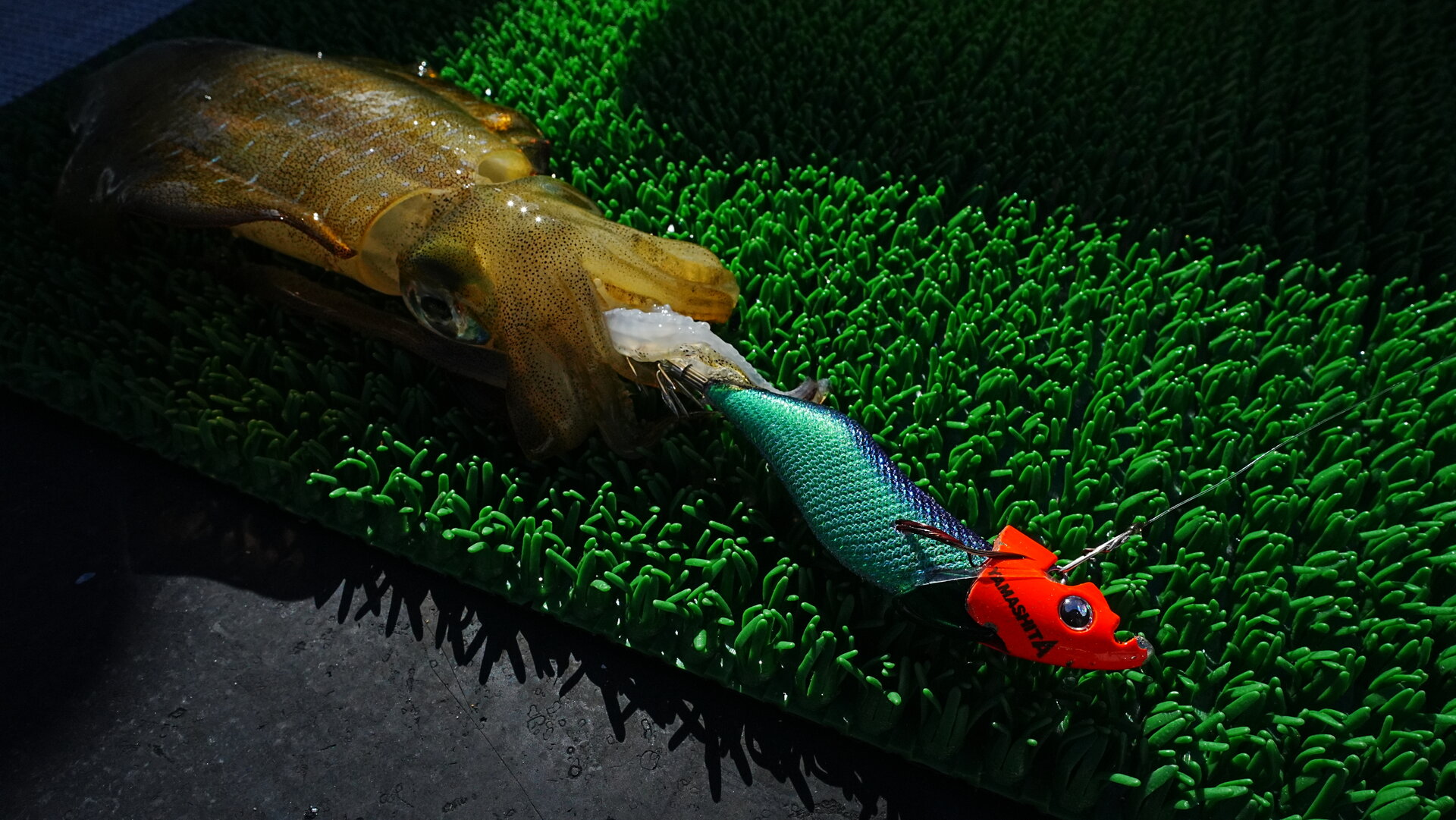 仮面シンカー装着の様子