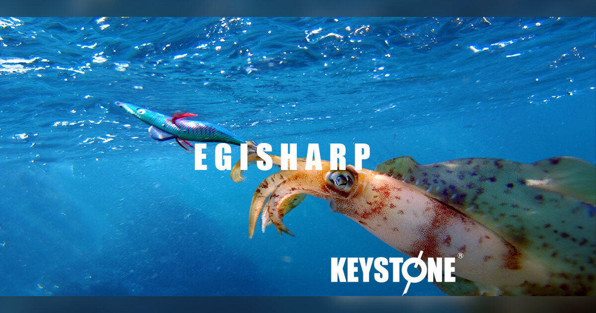 products-egisharp-assets-