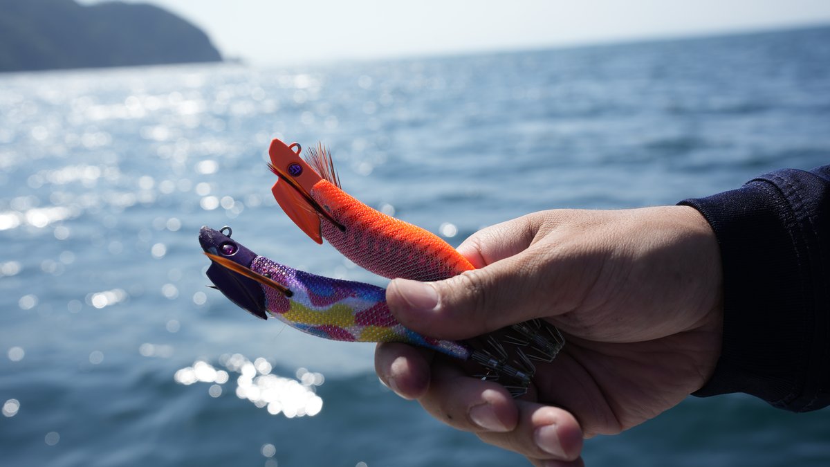 【デイブレイク新色】レッドアジオレンジ&るるパープル実釣レポート──朝マズメの秋イカ攻略