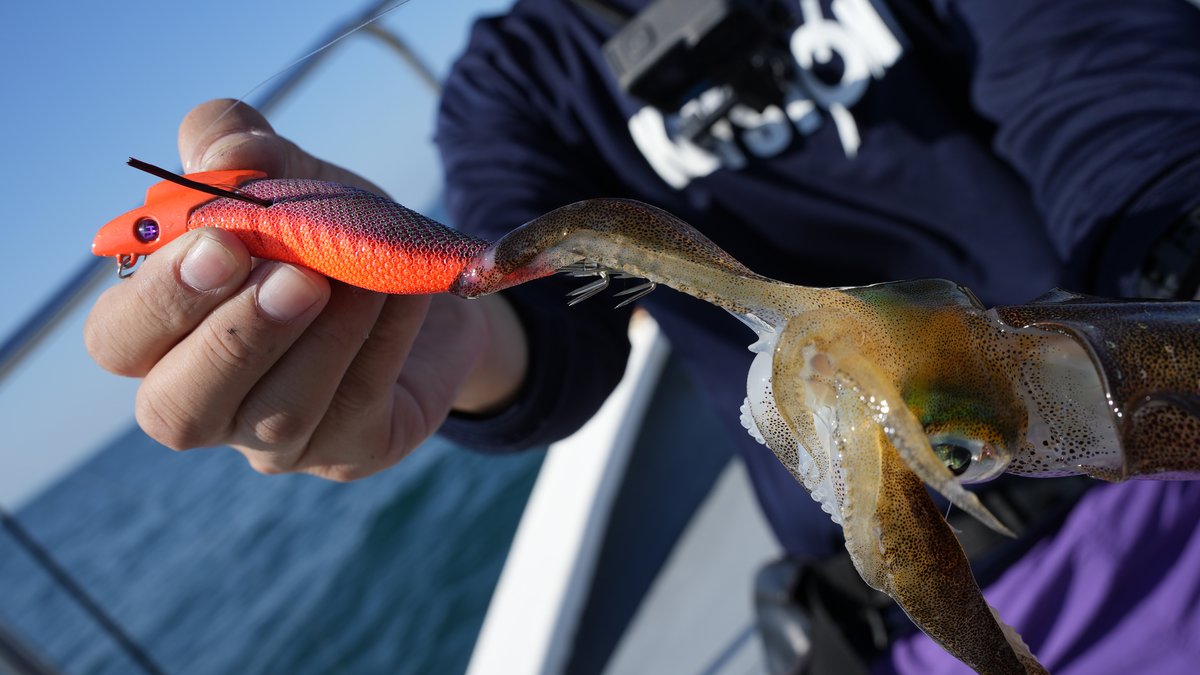 レッドアジオレンジとるるパープルの比較