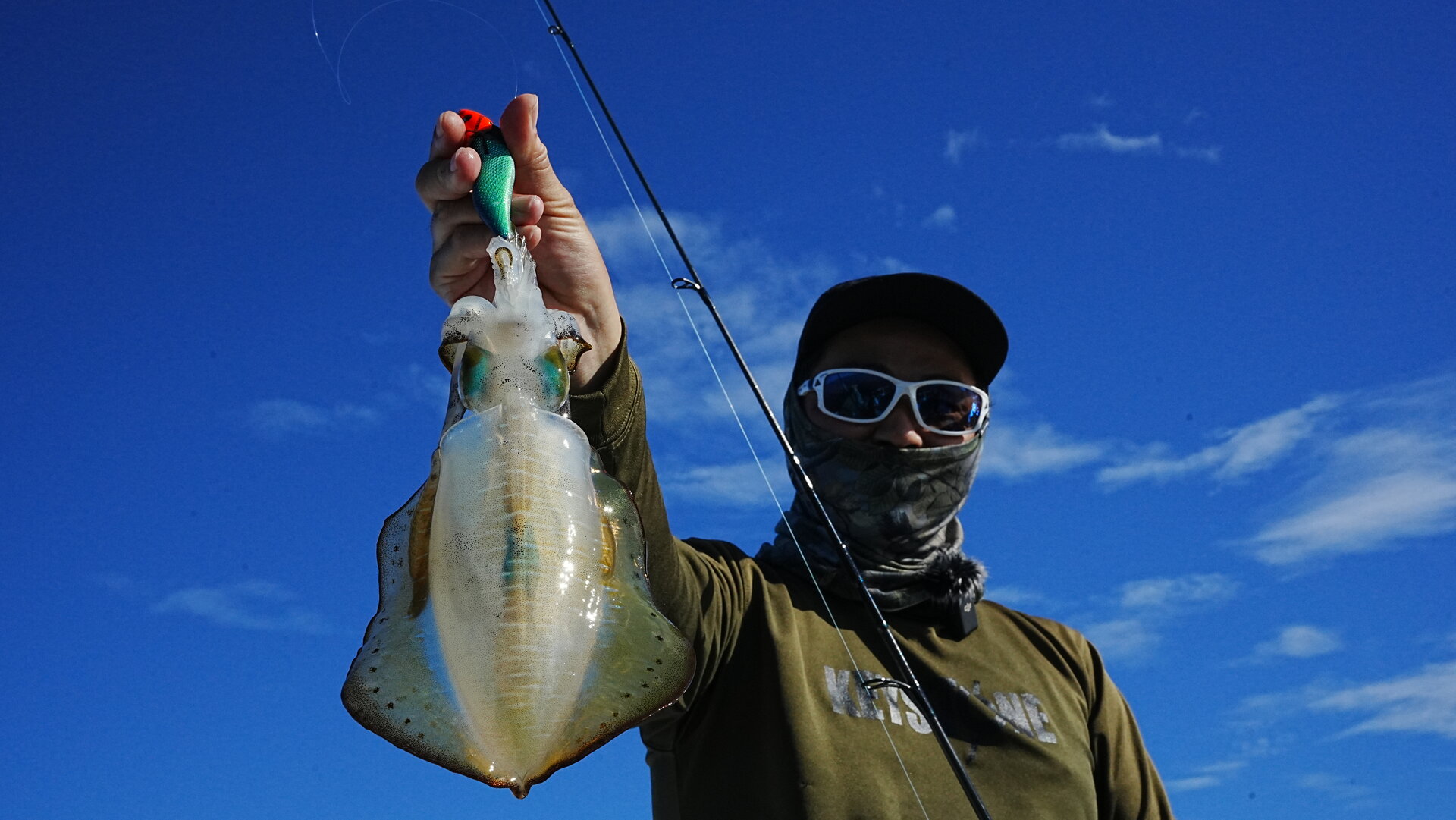 ティップランでの取り込みシーン