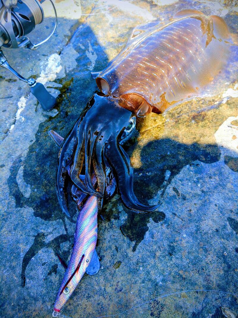 エギシャープ3.5号五島灘ソルティブルー