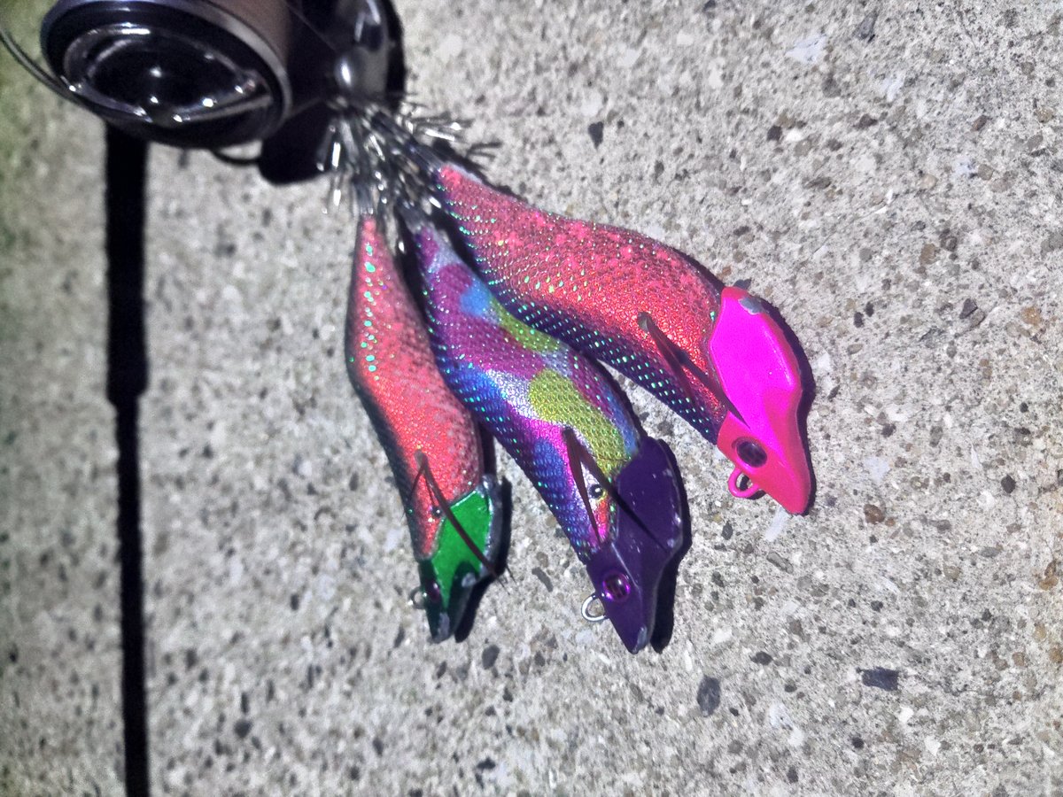 【大潮満月×激流攻略】ジェットチェイサー2.6号で西海防波堤完全制圧！