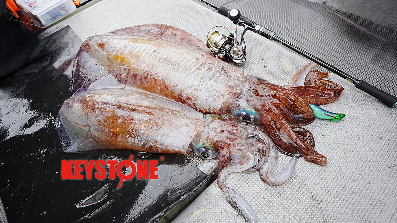 デイブレイク4.0号