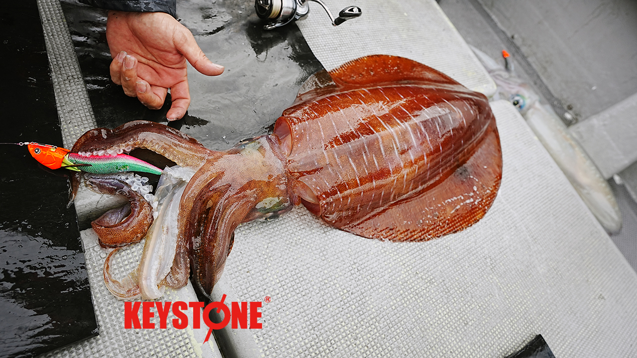 デイブレイク4.0号 レッドモンスター実績