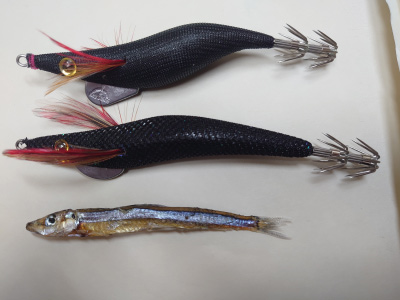 ベイトに近いシルエット