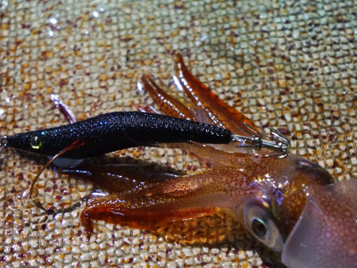 弱ったベイトを演出