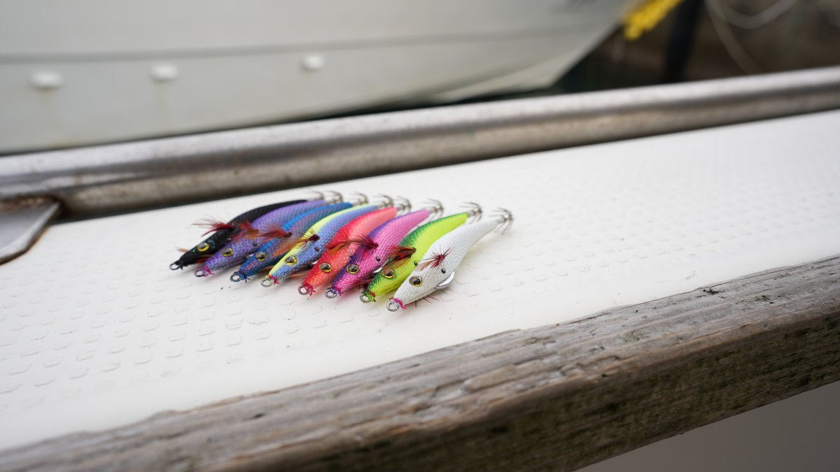 イカメタル釣果