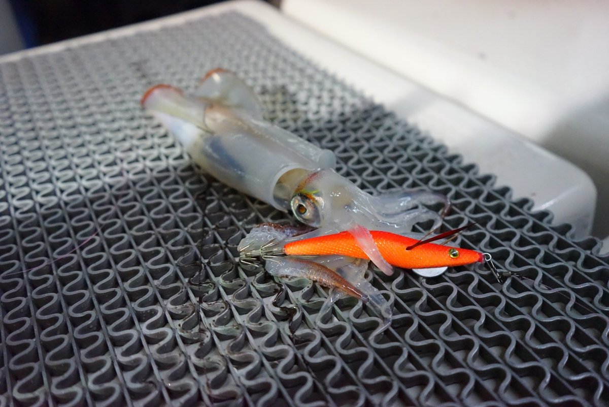 オモリグ仕掛けシーン