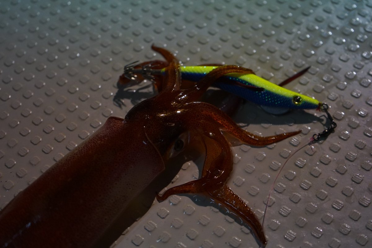 ドロッパー仕掛けシーン