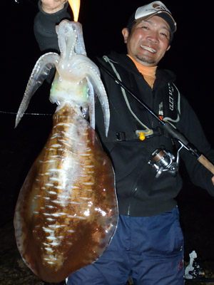 ダートアクション