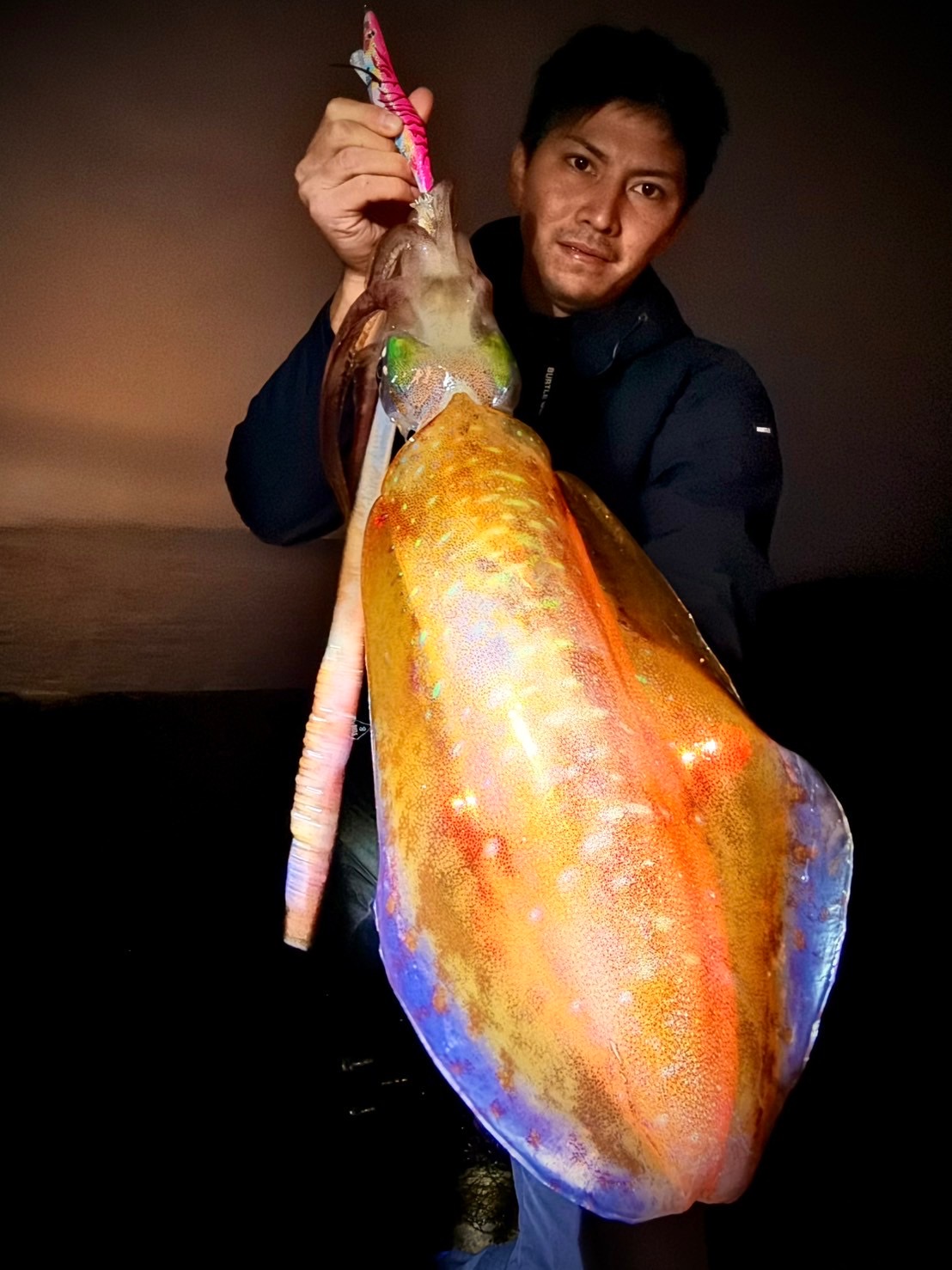 エギシャープαで釣れた大型アオリイカ