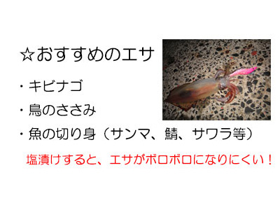 エサの取り付け方1