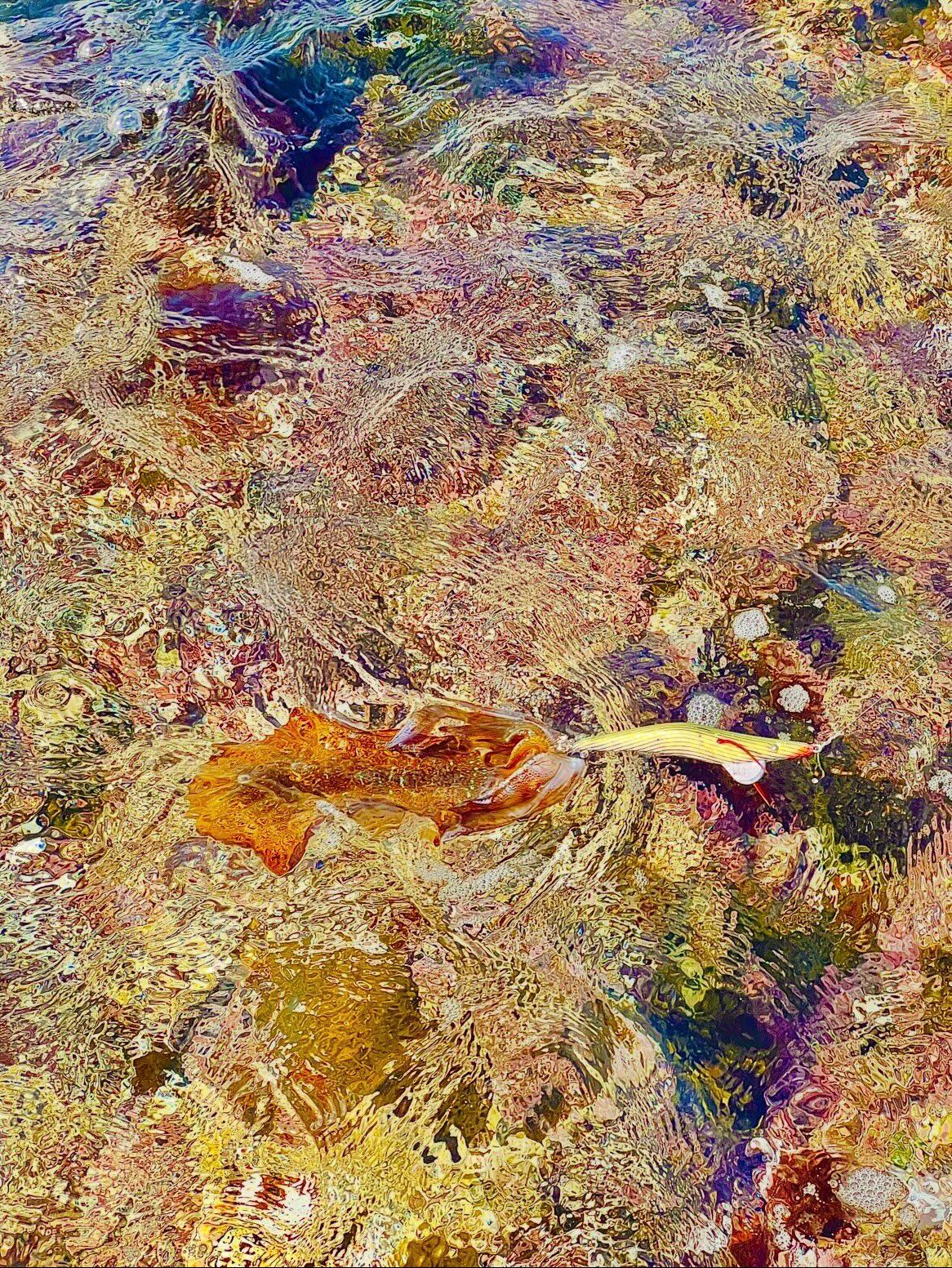 ロングエギ135mm釣果写真3