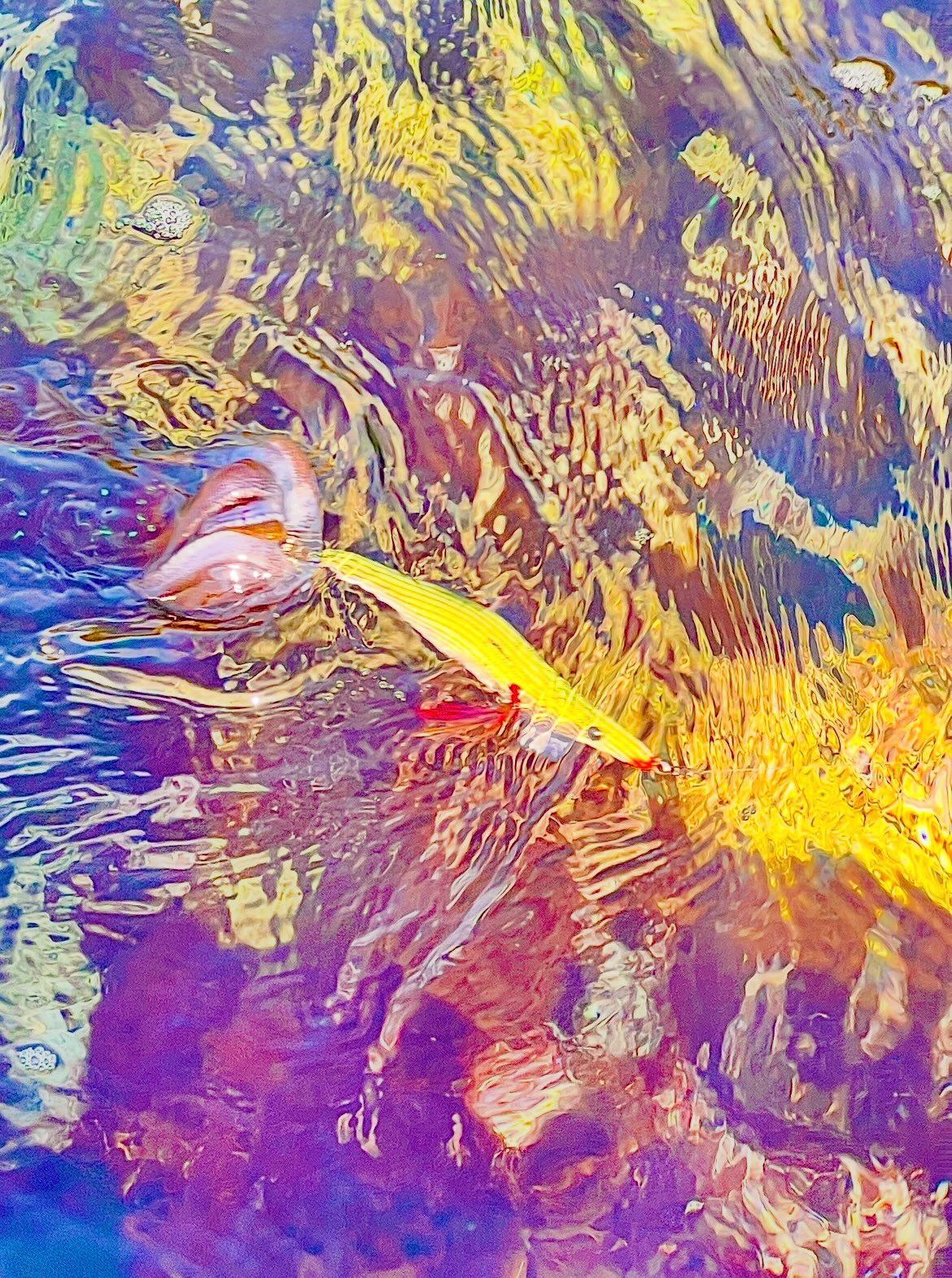 ロングエギ135mm釣果写真4