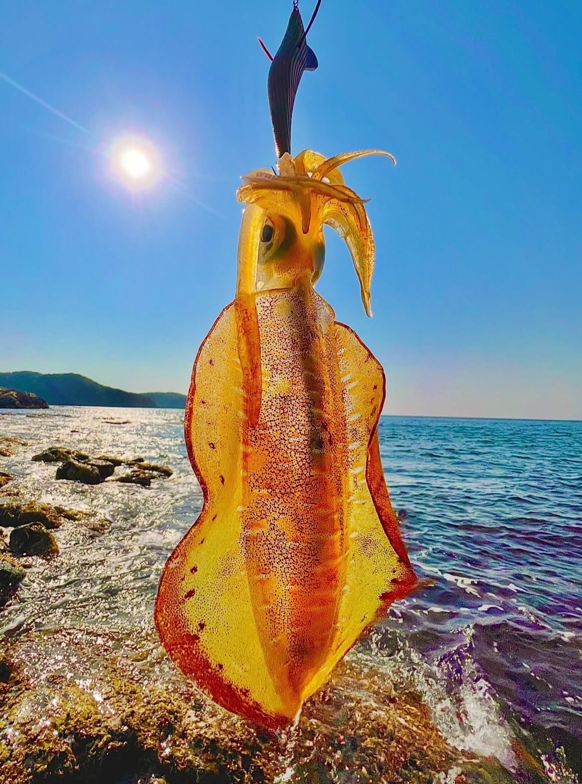 ロングエギ135mm釣果写真5