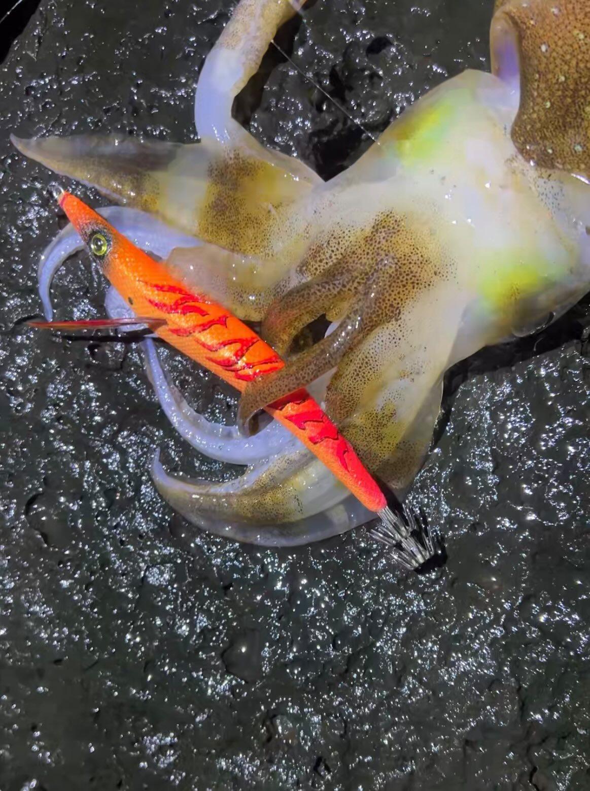 ロングエギ135mm釣果写真7