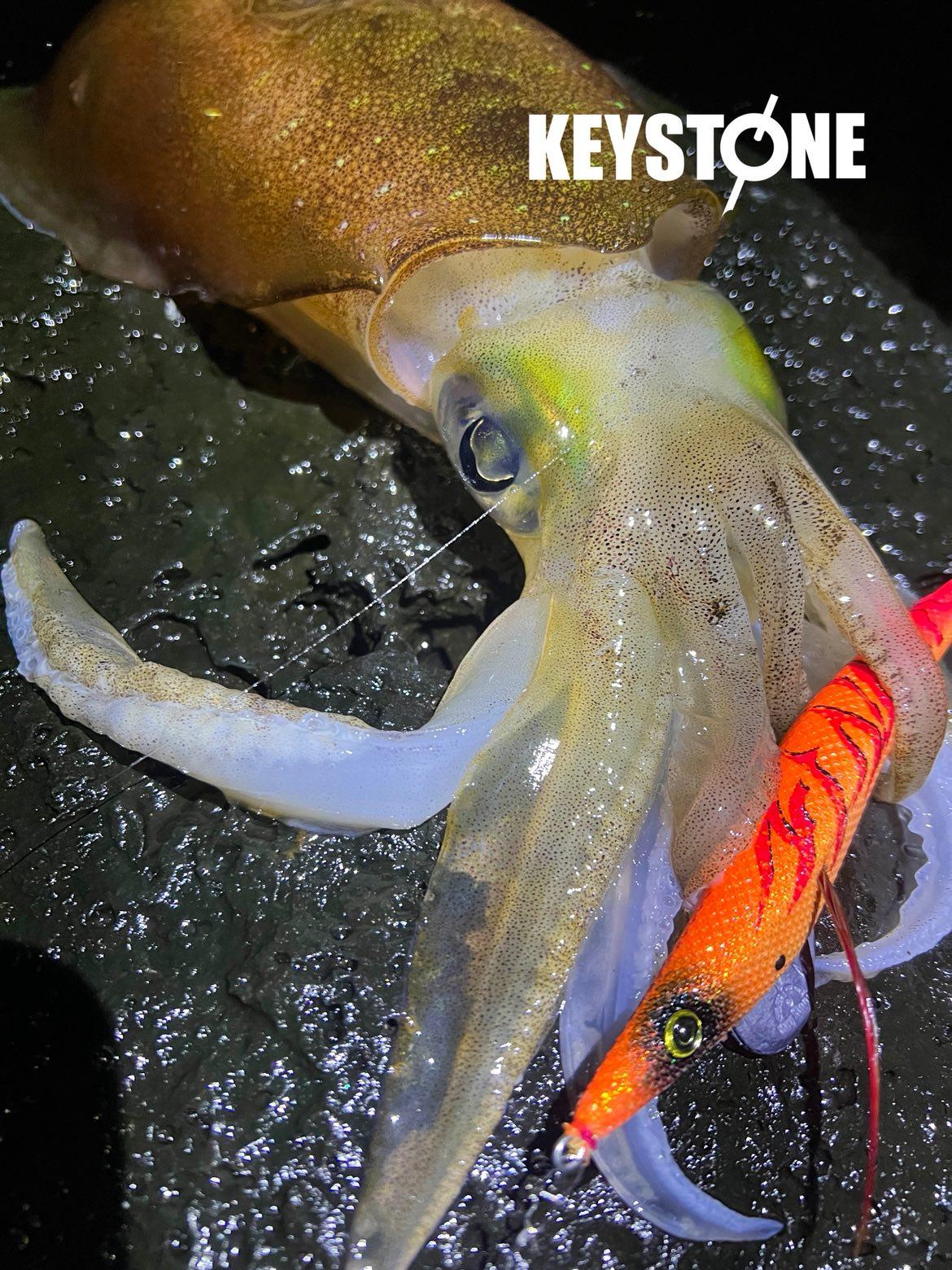 ロングエギ135mm釣果写真8