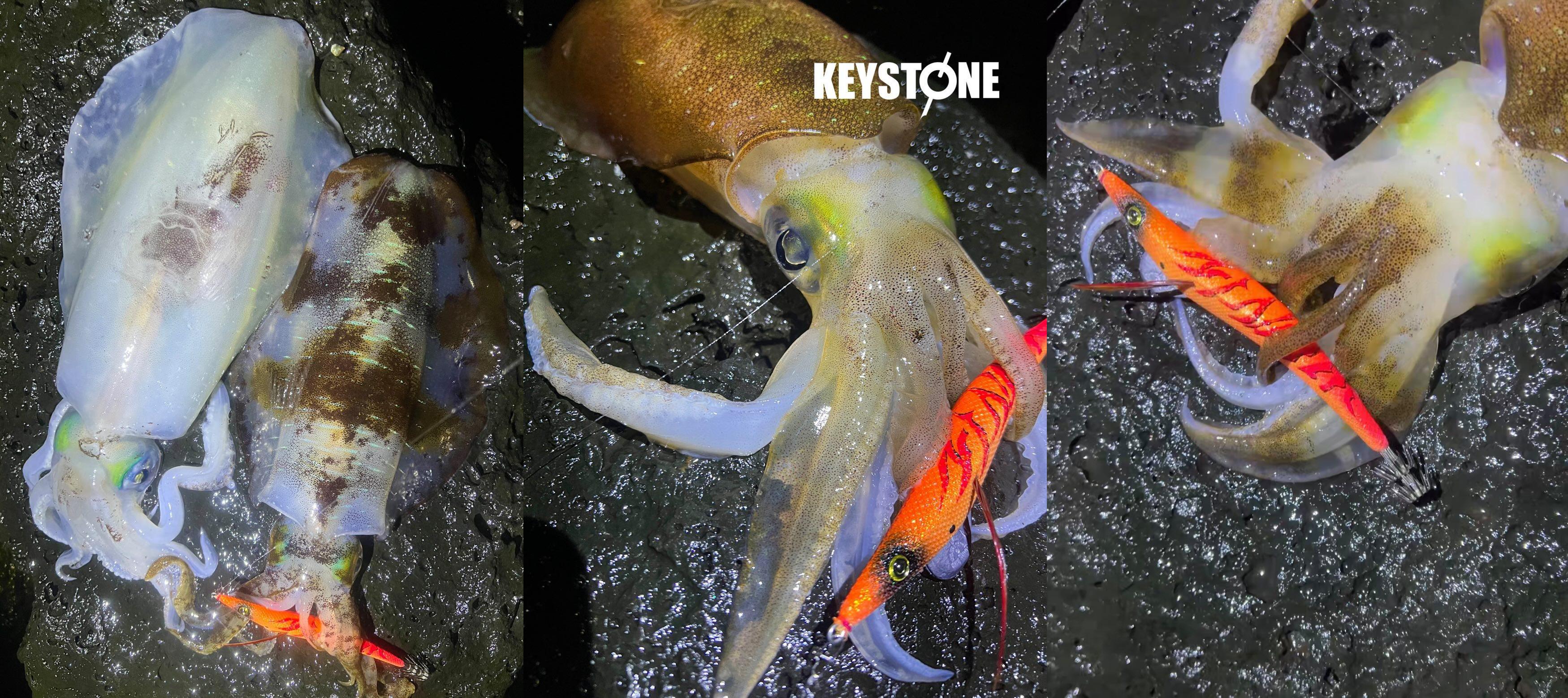 ロングエギ135mmで釣れたアオリイカ釣果集