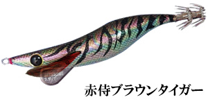 赤侍ブラウンタイガー