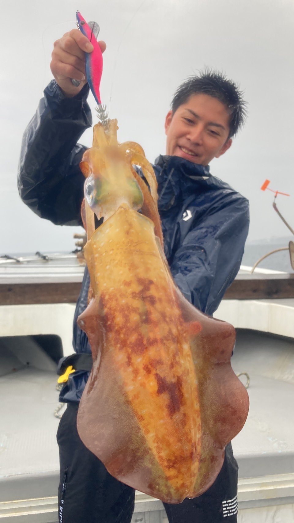 モンスター級アオリイカ釣果5