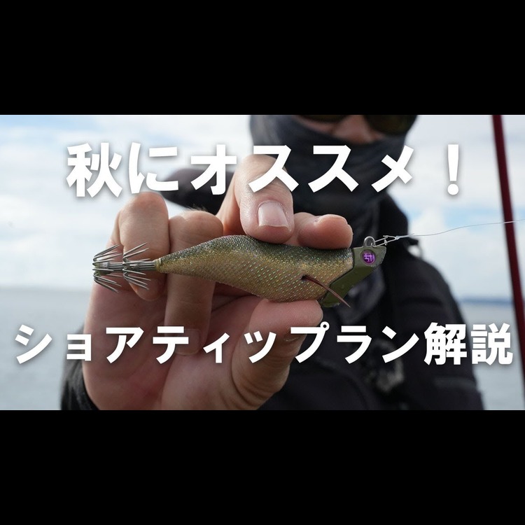 高活性なら、底は最初の一回でいい。ティップランを、岸から。
