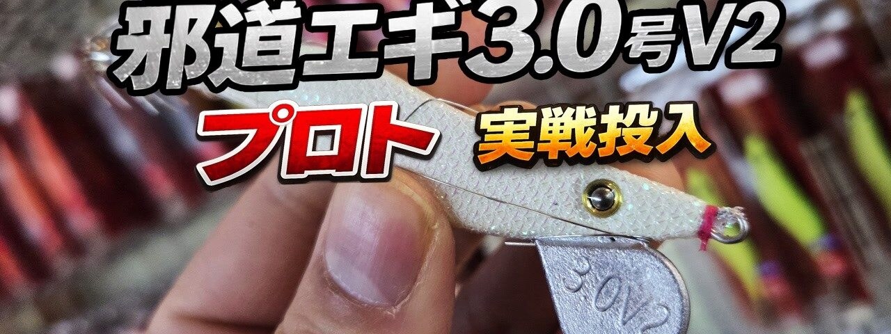 冬の横風でも、着底でエギが立つ。邪道エギ3.0号V2の最終プロトを、北部九州の初釣りで。良型のアオリイカとヤリイカ。