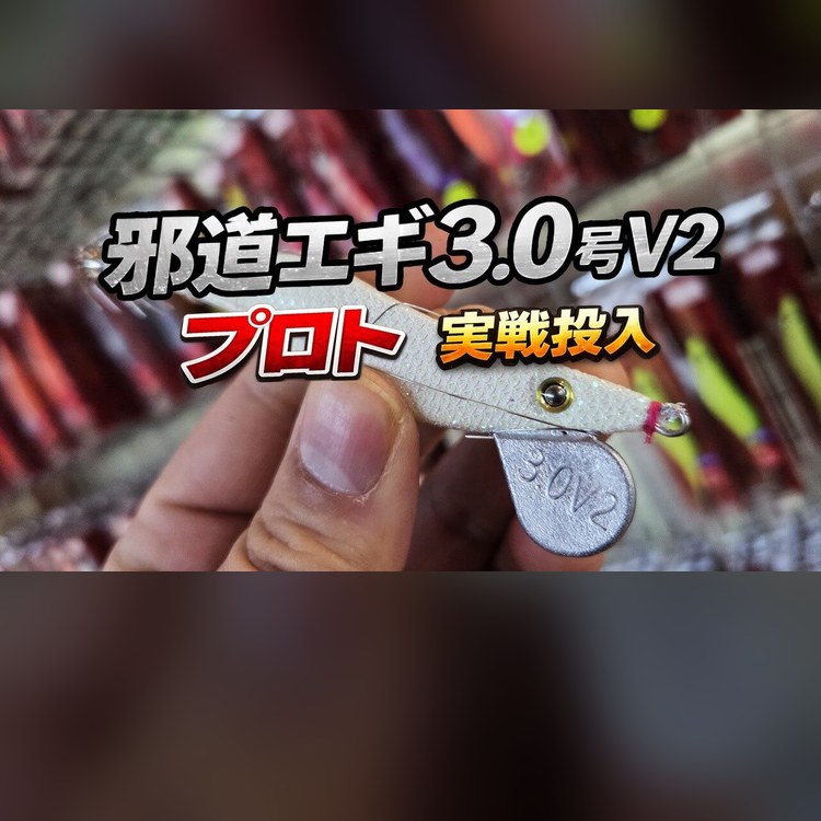 冬の横風でも、着底でエギが立つ。邪道エギ3.0号V2の最終プロトを、北部九州の初釣りで。良型のアオリイカとヤリイカ。