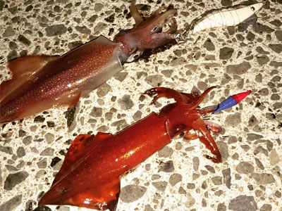 釣行レポート | キーストンのオフィシャルレポート | 純日本製とモノ